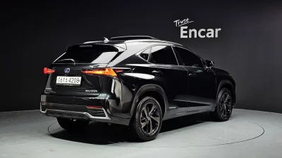 Lexus NX300h