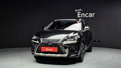 Lexus NX300h