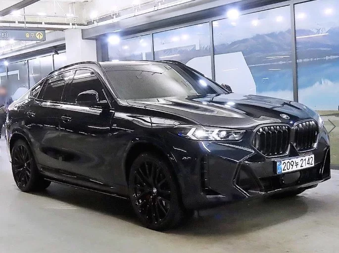 BMW X6