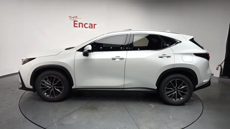 Lexus NX450h+