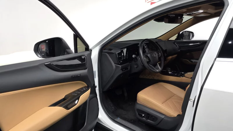 Lexus NX450h+