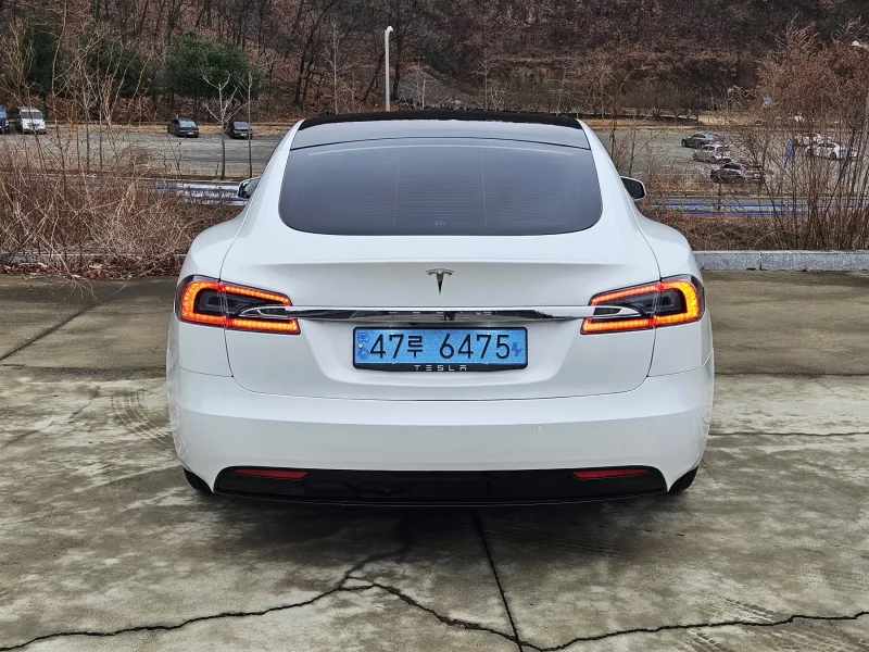 Tesla MODEL S