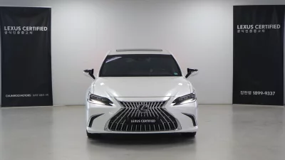 Lexus ES300h