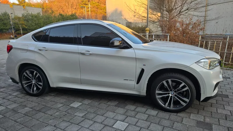 BMW X6
