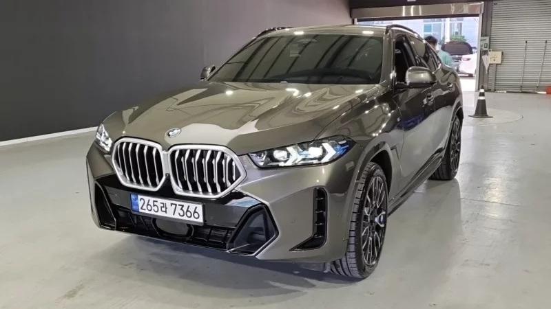 BMW X6