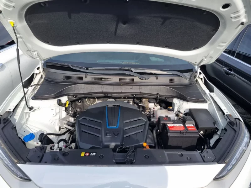 Hyundai Kona Electric