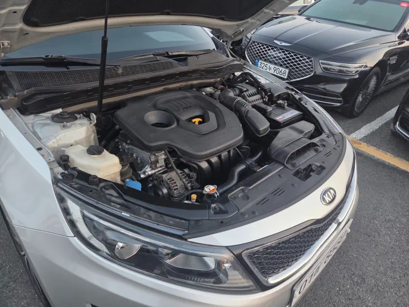 Kia K5