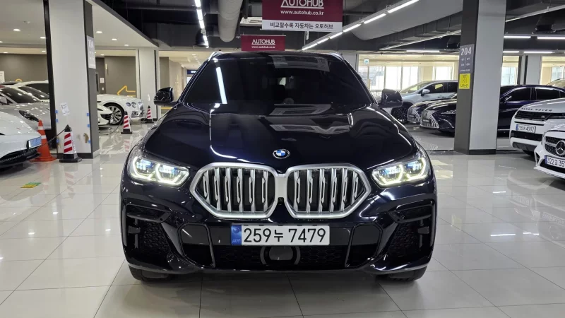 BMW X6