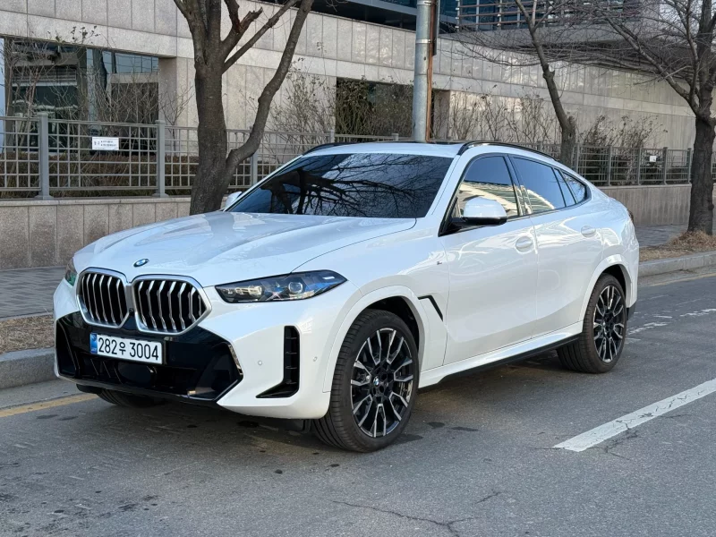 BMW X6