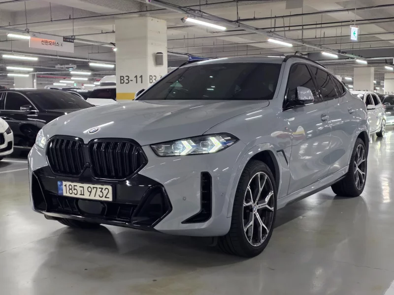 BMW X6