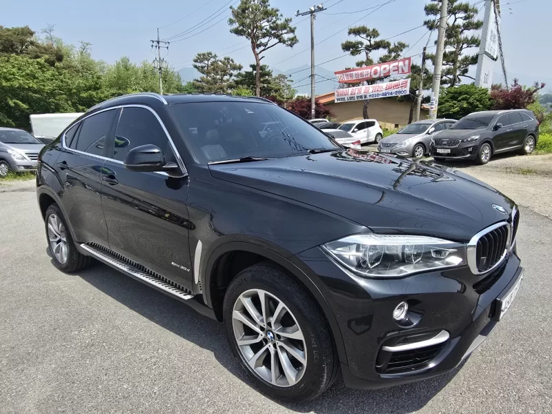 BMW X6