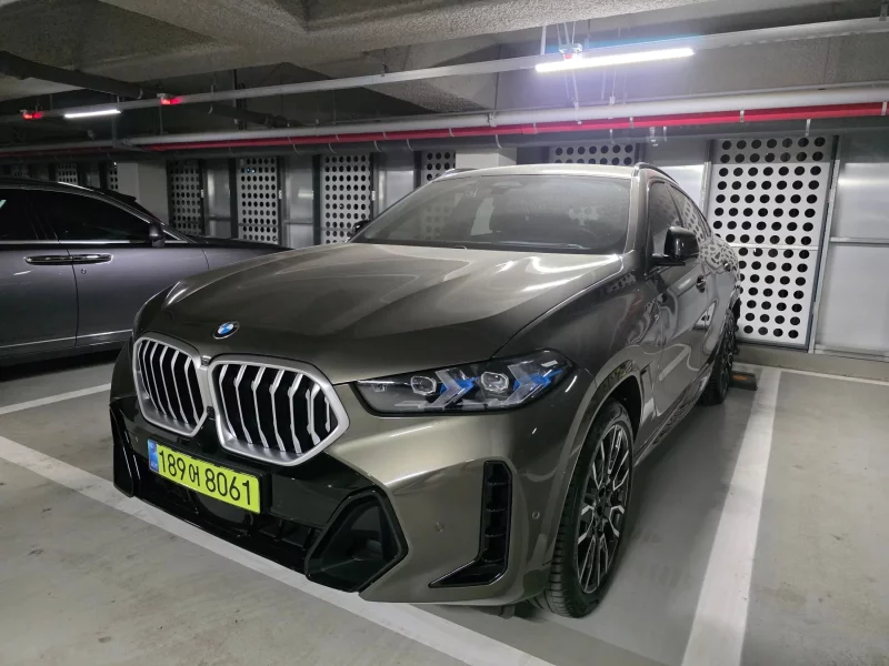 BMW X6