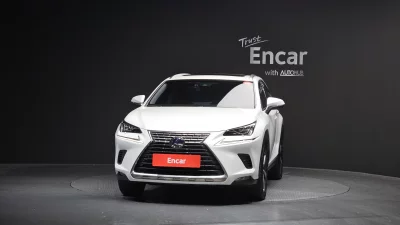 Lexus NX300h