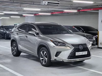 Lexus NX300h