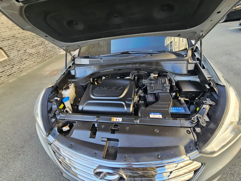Hyundai Maxcruze