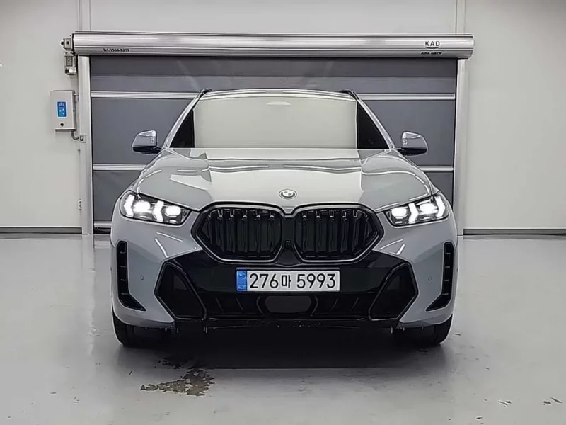 BMW X6