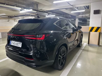 Lexus NX350h