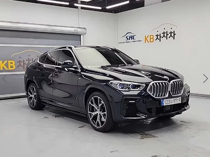 BMW X6