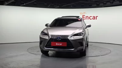 Lexus NX300h
