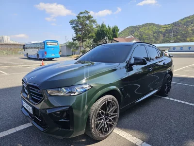 BMW X6 M