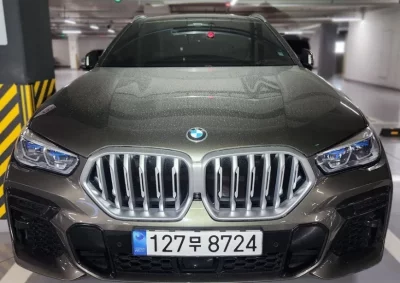 BMW X6