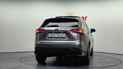 Lexus NX300h