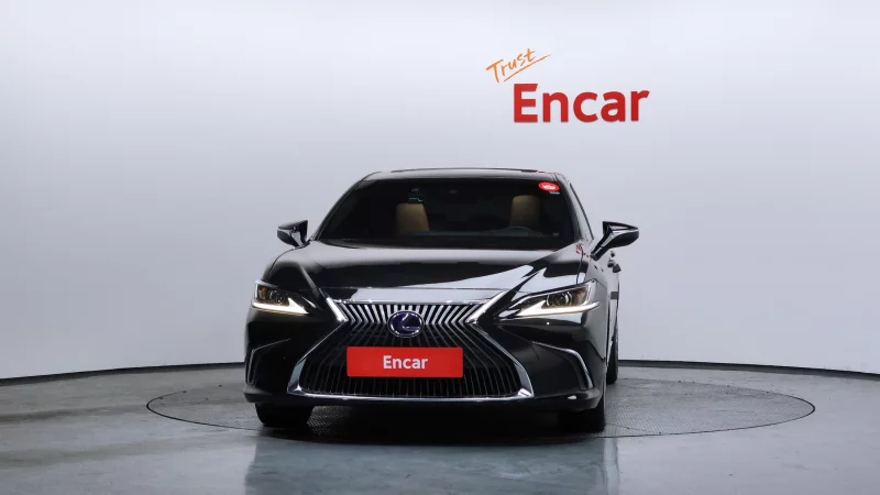 Lexus ES300h