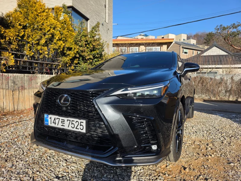 Lexus NX450h+
