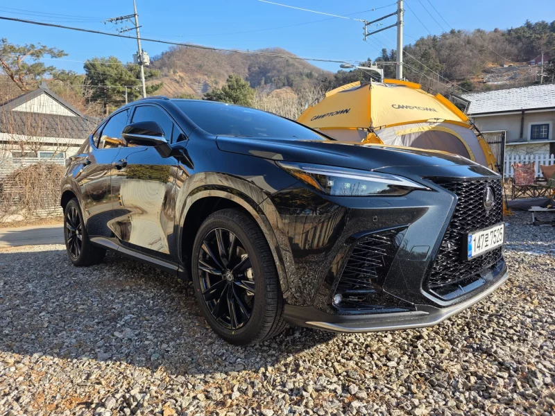 Lexus NX450h+