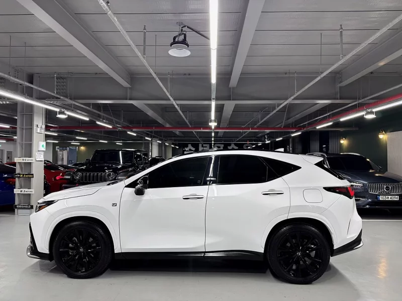 Lexus NX450h+