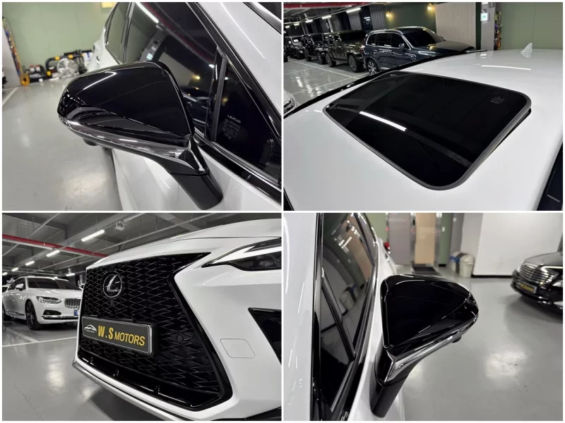 Lexus NX450h+