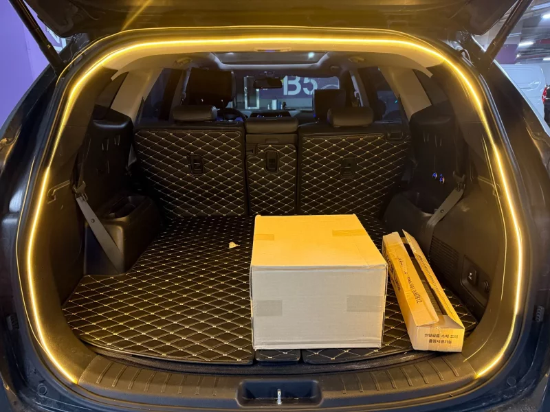 Hyundai Maxcruze