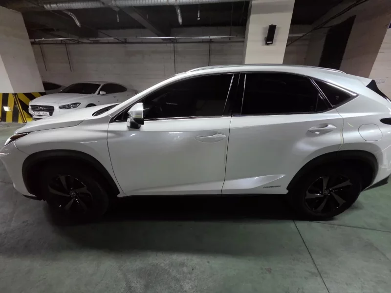 Lexus NX300h