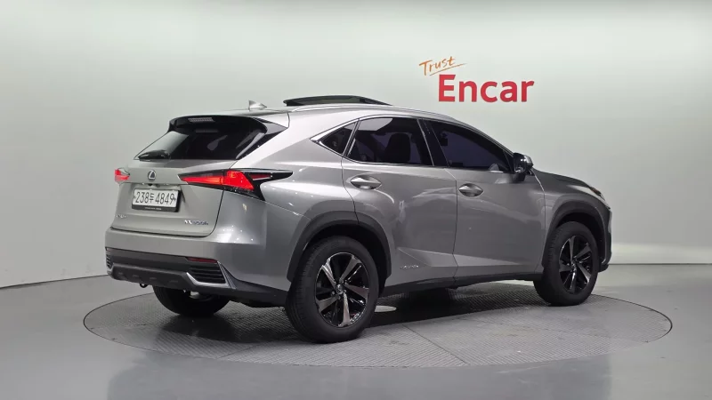 Lexus NX300h