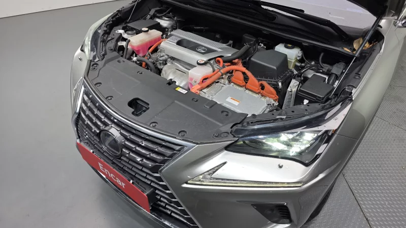 Lexus NX300h