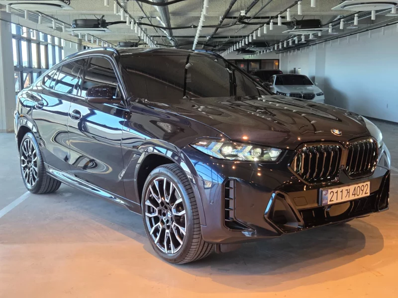 BMW X6