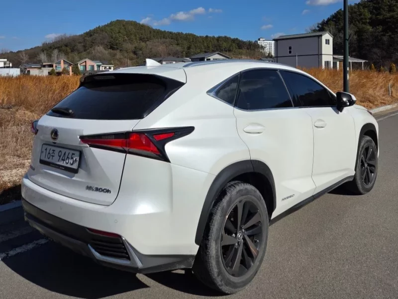 Lexus NX300h
