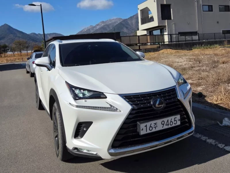 Lexus NX300h