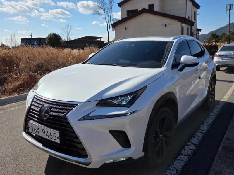 Lexus NX300h