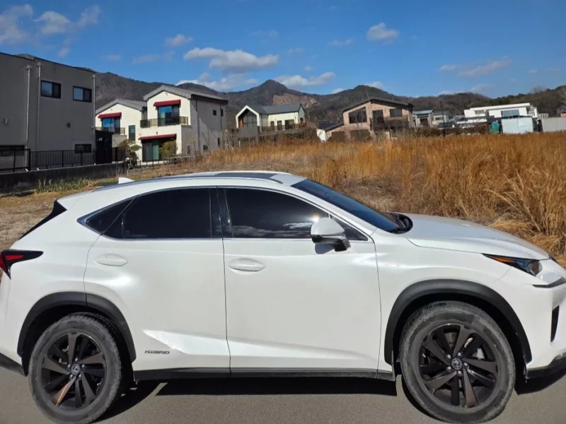 Lexus NX300h