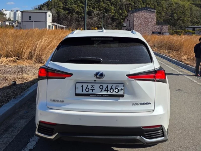 Lexus NX300h