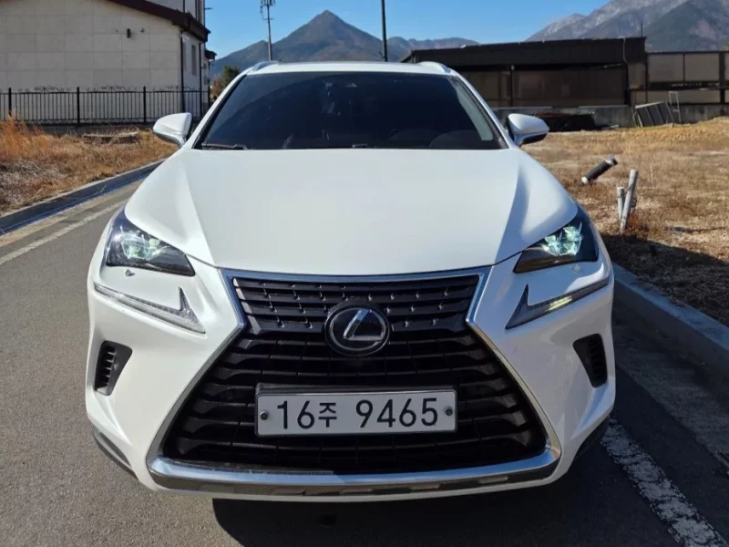Lexus NX300h