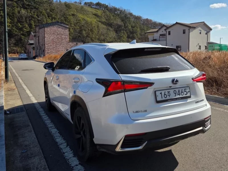 Lexus NX300h