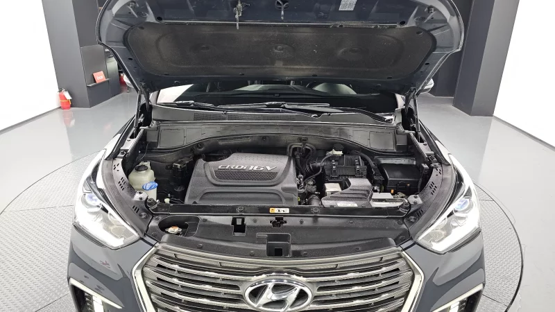 Hyundai Maxcruze