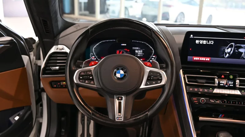 BMW M8