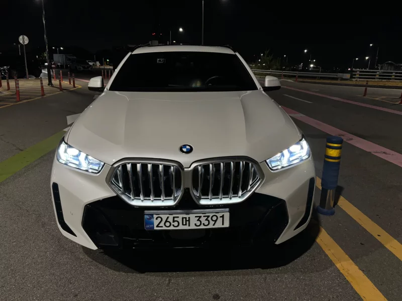 BMW X6