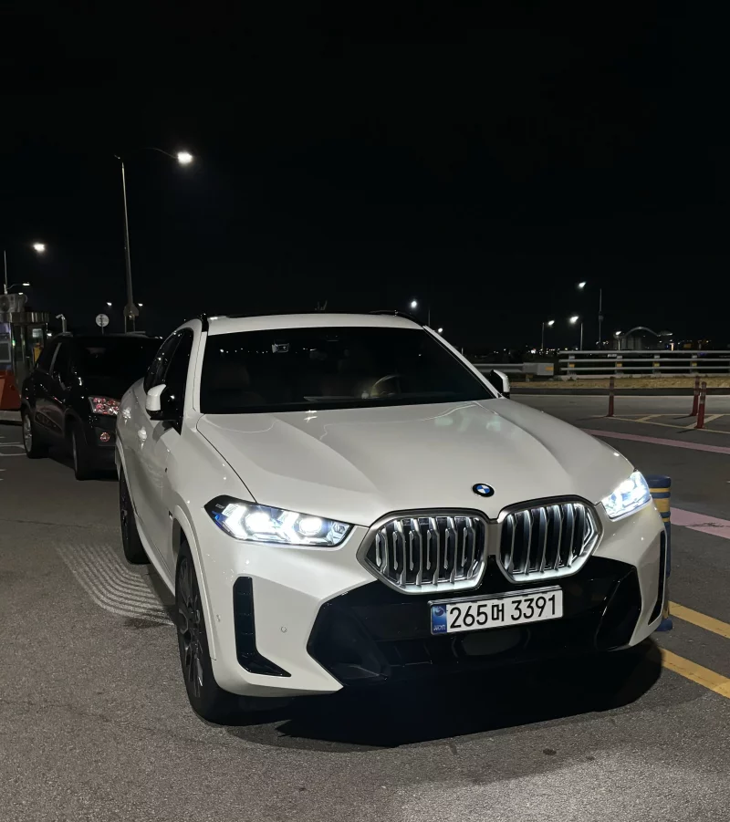 BMW X6