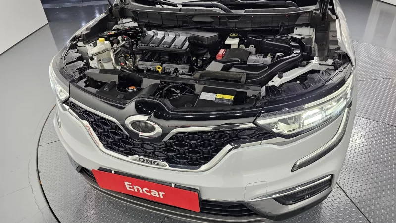 Renault QM6