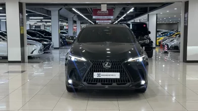 Lexus NX450h+