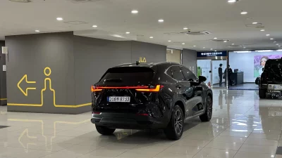 Lexus NX450h+